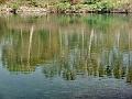 adda (9)